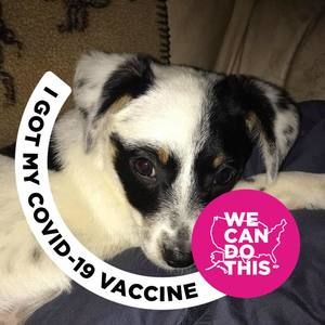 Meet your Posher, Kathi